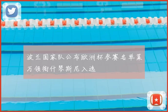 波兰国家队公布欧洲杯参赛名单莱万领衔什琴斯尼入选