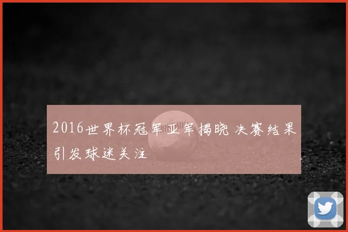 2016世界杯冠军亚军揭晓 决赛结果引发球迷关注